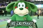 记者：为精简人数和优化年龄结构，浙江队今年可能不会报满35人