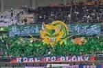 浙江队队史800场里程碑，球迷打出&ldquo;悬河注火，奚有不灭&rdquo;TIFO